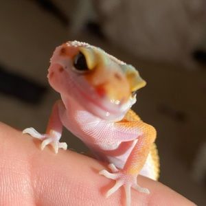 Meet your Posher, Jenna